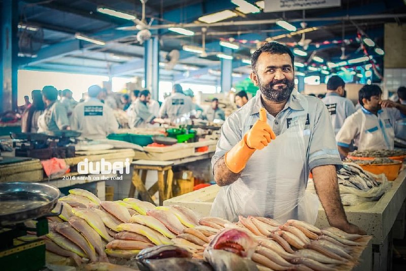 迪拜鱼市Dubai Fish Market