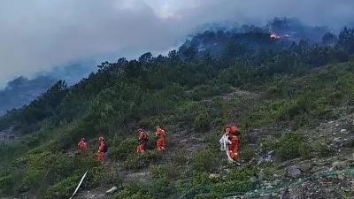 两部门会商森林火险形势：贵州广西严防火灾复燃