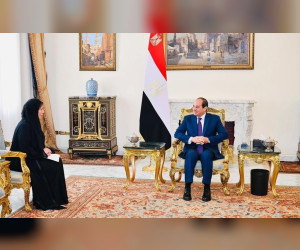 阿联酋总统向埃及总统发出了参加二十八国集团首脑会议的书面邀请函