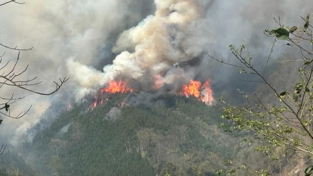 广西乐业县山火火势得到控制 无人员伤亡