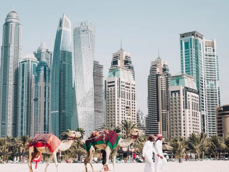 卡塔尔世界杯，迪拜吸引65%的游客，成为最大赢家