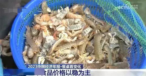 中国居民践行大食物观膳食越来越健康多元