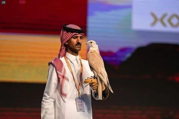 沙特猎鹰拍卖会~德国猎鹰的成交价高达17.7万里亚尔