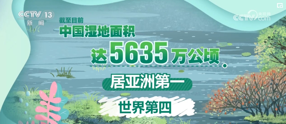 畅通湿地“毛细血管”提升生态“颜值”  百姓享受更多水清岸绿