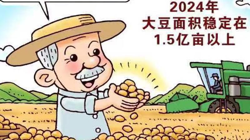 新华鲜报丨中国稳粮新看点！ “金豆豆”1.5亿亩以上