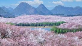 “花漾贵州”邀世界共赴春日之约