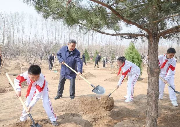 增绿就是增优势植树就是植未来