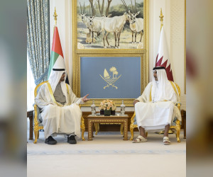 阿联酋总统与卡塔尔埃米尔讨论两国关系和地区发展问题
