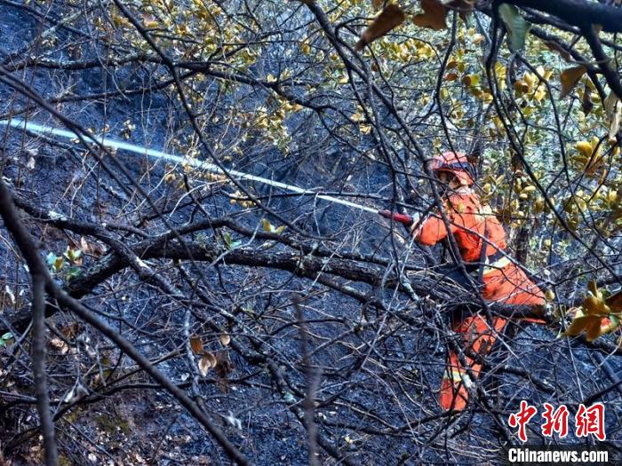 四川雅江森林火灾：距县城较近的1号火场明火得到控制