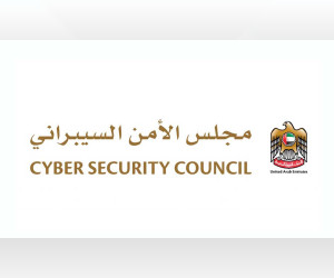 在新年庆祝之际，网络安全理事会呼吁社会成员和机构谨慎防范网络攻击