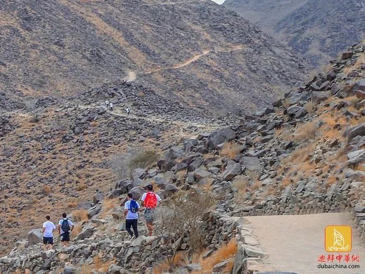 一阿联酋人在沙迦登山时突发疾病，抢救无效后死亡