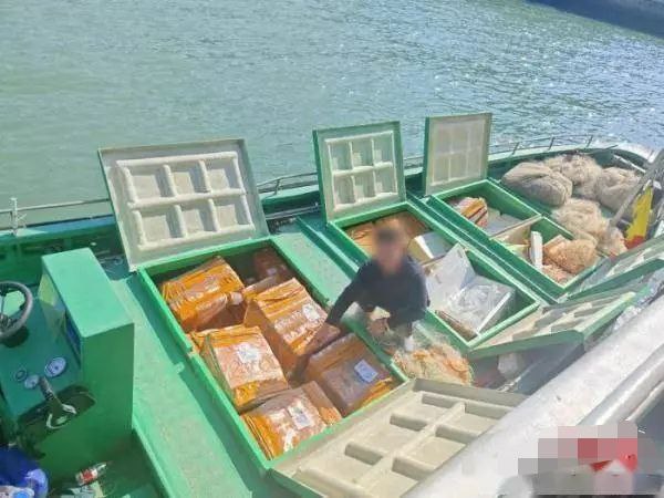 广东海警查获95箱活体龙虾和千条巨骨舌鱼苗