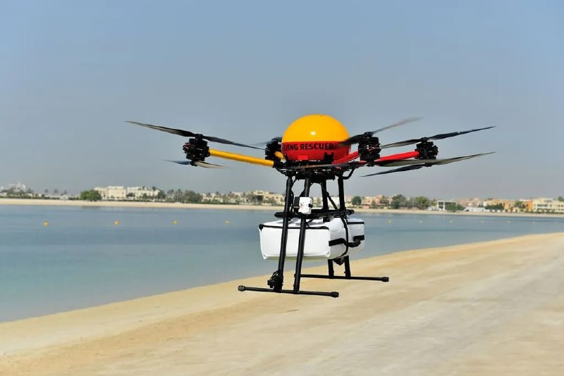 迪拜王储谢赫·哈姆丹启动了无人机运输计划