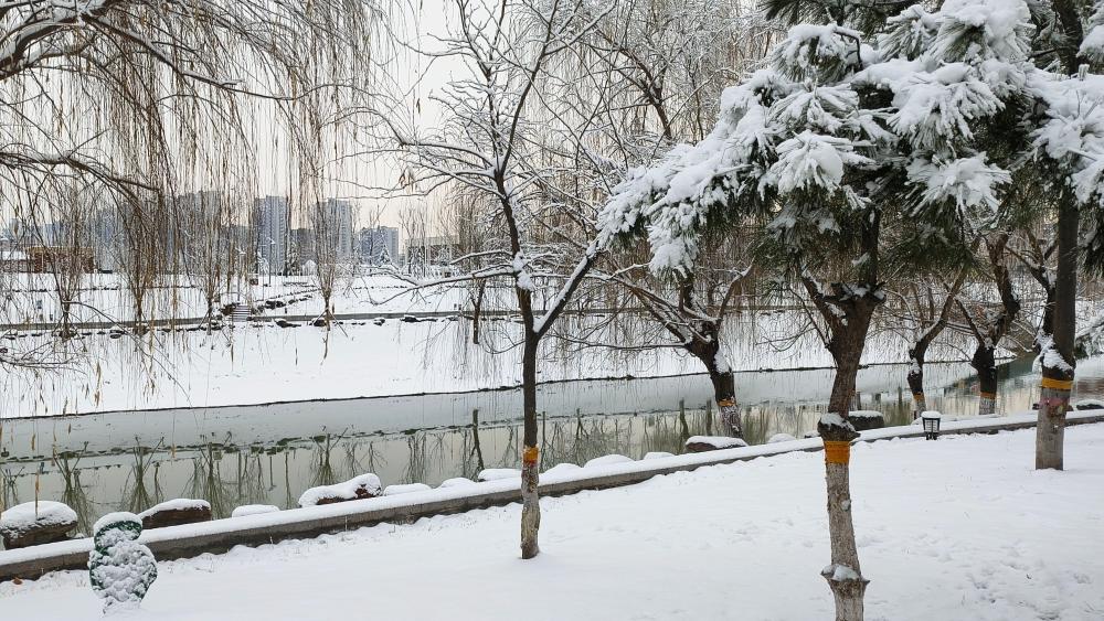 中雪大雨、道路结冰……16日起至19日河南雨雪天气持续